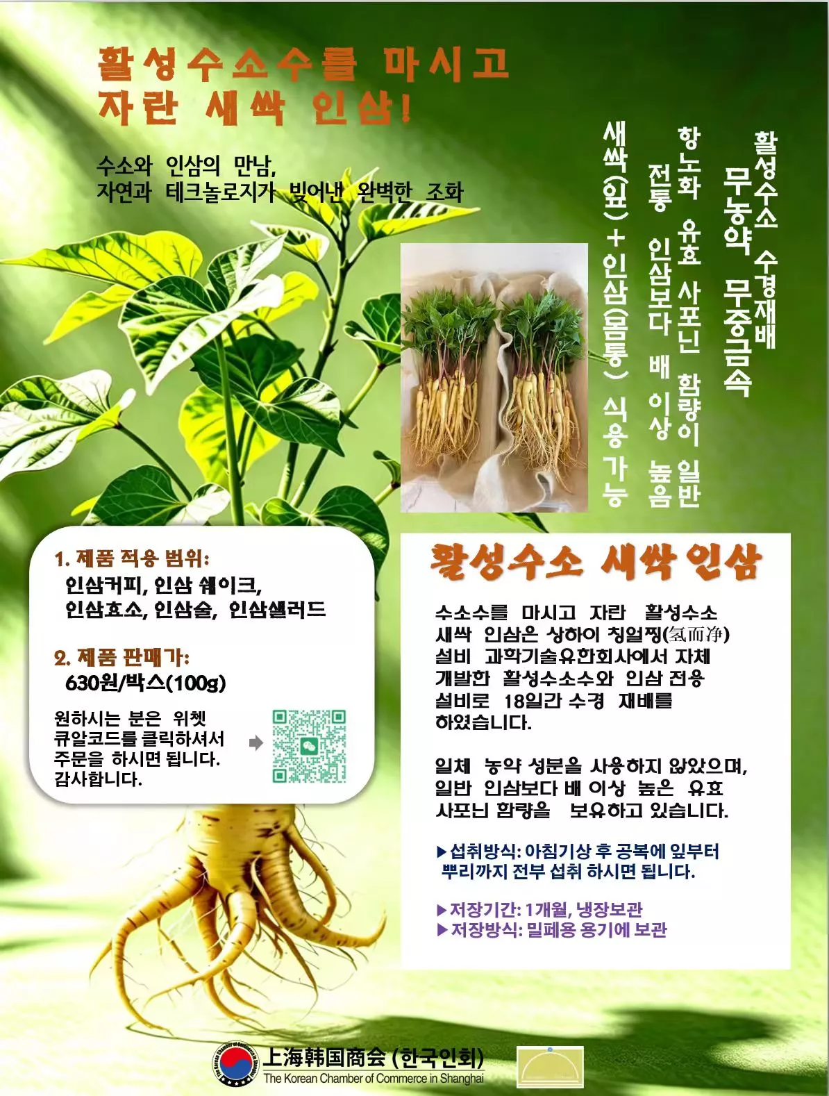 새싹인삼